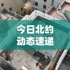 今日北约动态速递，最新消息一览