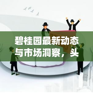 碧桂园最新动态与市场洞察，头条新闻揭秘独家资讯