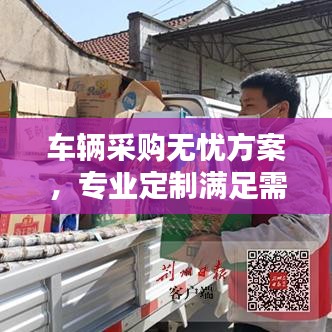 车辆采购无忧方案，专业定制满足需求！