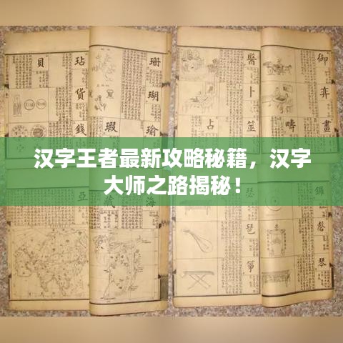 汉字王者最新攻略秘籍，汉字大师之路揭秘！