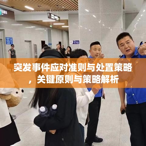 突发事件应对准则与处置策略，关键原则与策略解析
