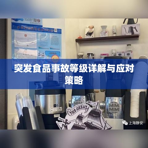 突发食品事故等级详解与应对策略