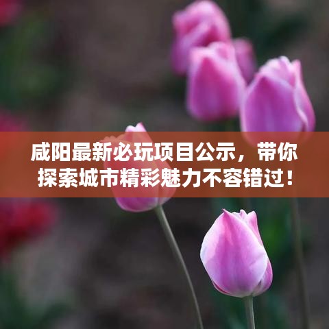 咸阳最新必玩项目公示，带你探索城市精彩魅力不容错过！