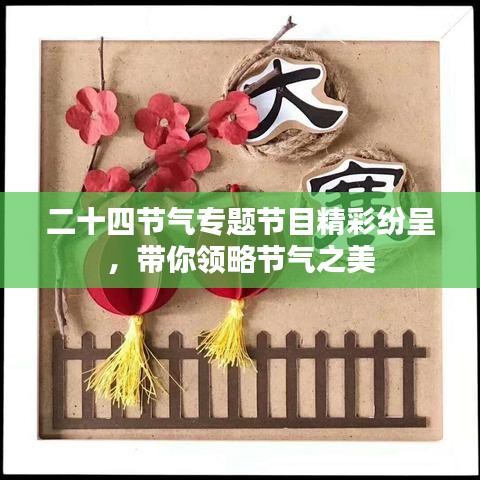 二十四节气专题节目精彩纷呈，带你领略节气之美