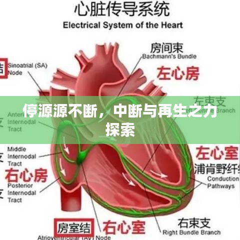 停源源不断，中断与再生之力探索
