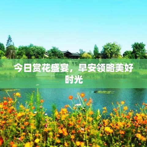 今日赏花盛宴，早安领略美好时光