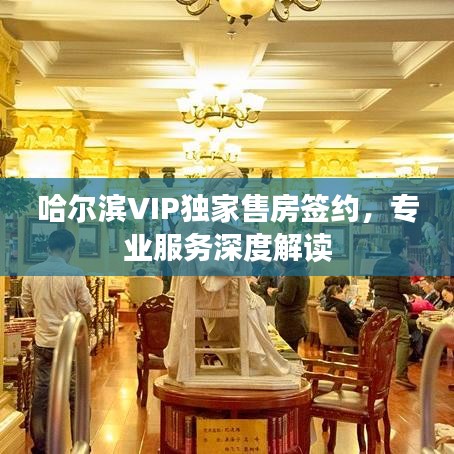 哈尔滨VIP独家售房签约，专业服务深度解读