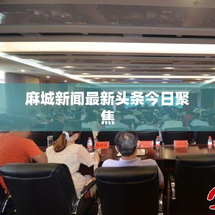 麻城新闻最新头条今日聚焦