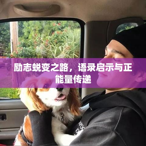 励志蜕变之路，语录启示与正能量传递