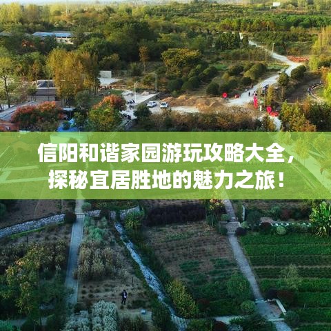 眉飞色舞
