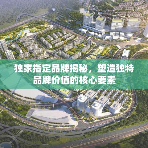 独家指定品牌揭秘，塑造独特品牌价值的核心要素