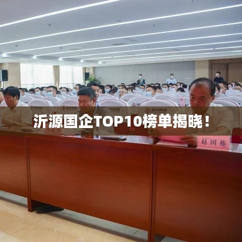 沂源国企TOP10榜单揭晓！