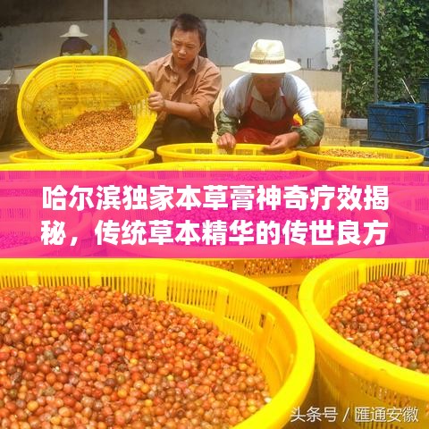 哈尔滨独家本草膏神奇疗效揭秘，传统草本精华的传世良方