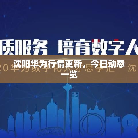沈阳华为行情更新，今日动态一览