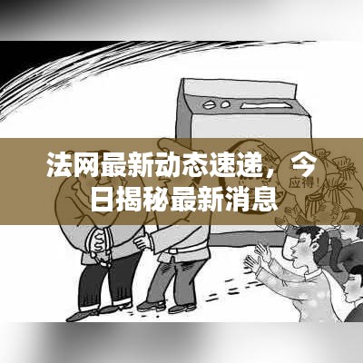 法网最新动态速递，今日揭秘最新消息