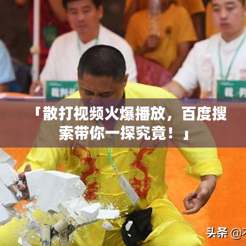 「散打视频火爆播放，百度搜索带你一探究竟！」