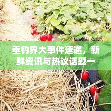 垂钓界大事件速递，新鲜资讯与热议话题一网打尽
