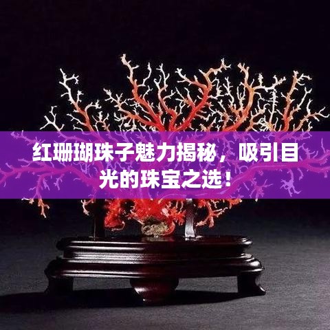 红珊瑚珠子魅力揭秘，吸引目光的珠宝之选！