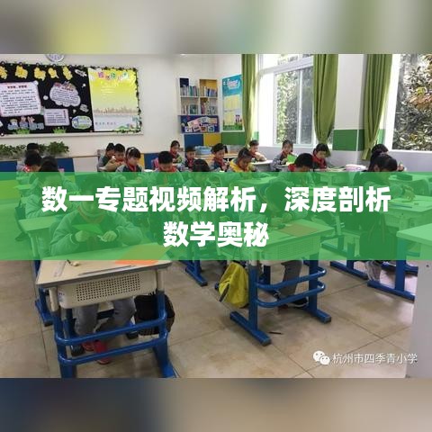 数一专题视频解析，深度剖析数学奥秘