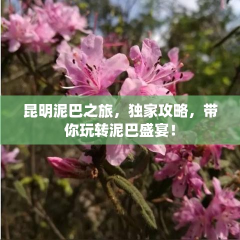 昆明泥巴之旅，独家攻略，带你玩转泥巴盛宴！