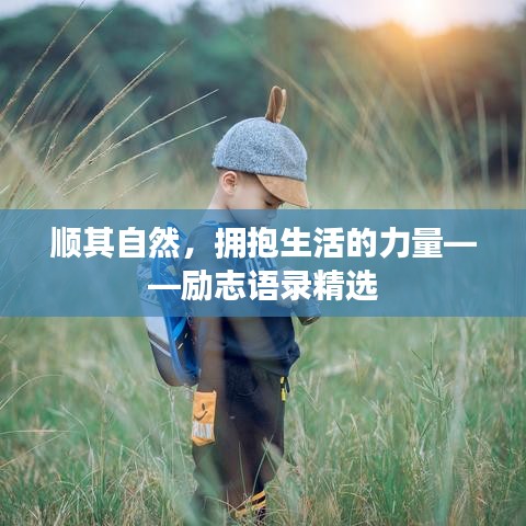 顺其自然，拥抱生活的力量——励志语录精选