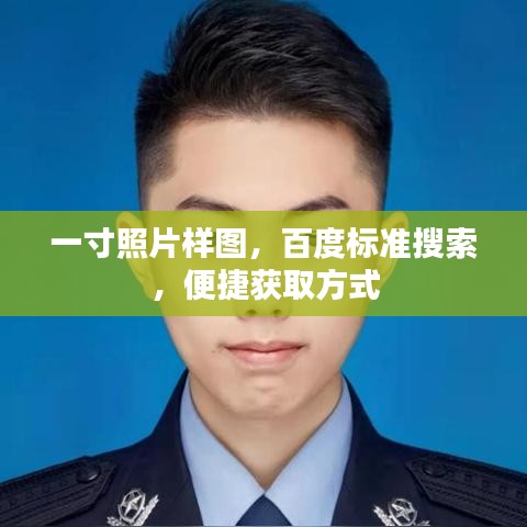 一寸照片样图，百度标准搜索，便捷获取方式