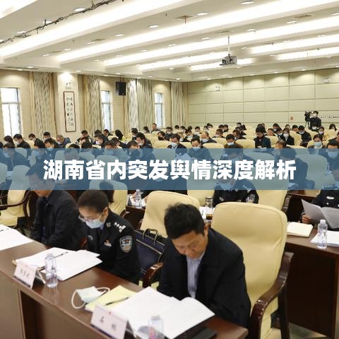 湖南省内突发舆情深度解析