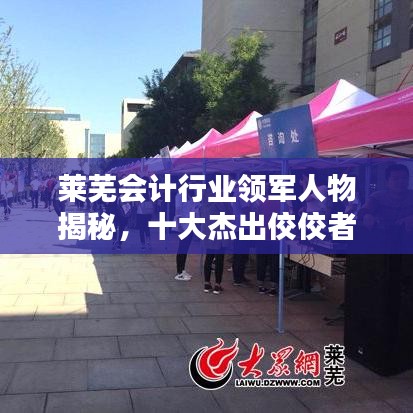 莱芜会计行业领军人物揭秘，十大杰出佼佼者榜单排名！