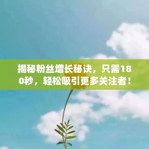 揭秘粉丝增长秘诀，只需180秒，轻松吸引更多关注者！