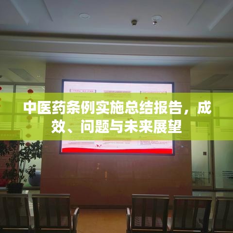中医药条例实施总结报告，成效、问题与未来展望