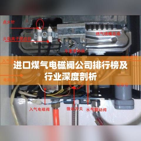 进口煤气电磁阀公司排行榜及行业深度剖析