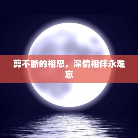 剪不断的相思，深情相伴永难忘