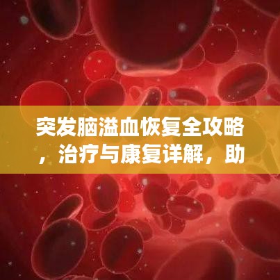 回眸最初