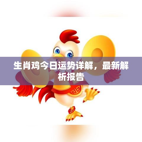 生肖鸡今日运势详解，最新解析报告