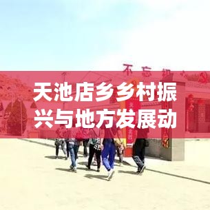 天池店乡乡村振兴与地方发展动态新闻速递