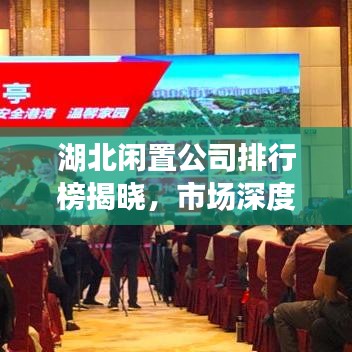 湖北闲置公司排行榜揭晓，市场深度分析与前景展望