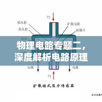 物理电路专题二，深度解析电路原理及应用探究