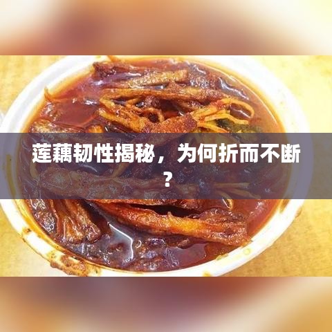 莲藕韧性揭秘，为何折而不断？