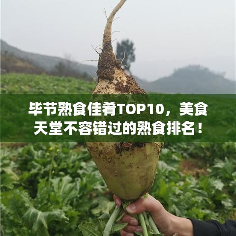 毕节熟食佳肴TOP10，美食天堂不容错过的熟食排名！