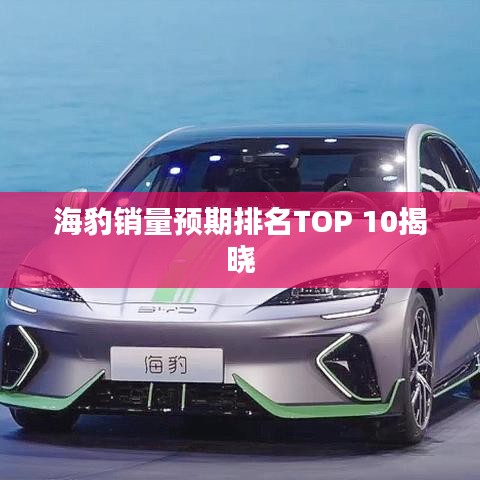海豹销量预期排名TOP 10揭晓