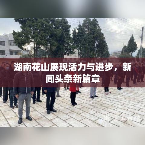 湖南花山展现活力与进步，新闻头条新篇章
