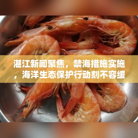 湛江新闻聚焦，禁海措施实施，海洋生态保护行动刻不容缓