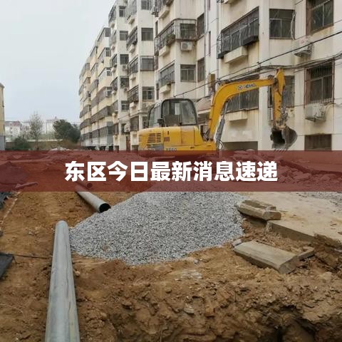 东区今日最新消息速递