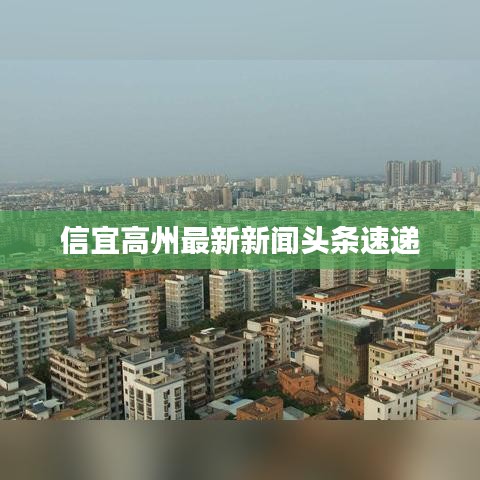 信宜高州最新新闻头条速递