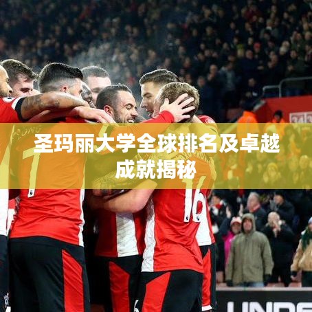 圣玛丽大学全球排名及卓越成就揭秘