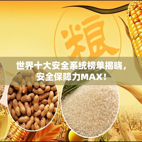 世界十大安全系统榜单揭晓，安全保障力MAX！