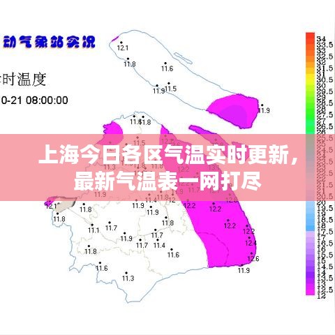 上海今日各区气温实时更新，最新气温表一网打尽