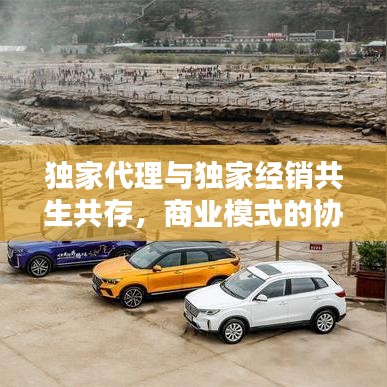 独家代理与独家经销共生共存，商业模式的协同创新与进步之道