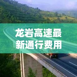 龙岩高速最新通行费用解析，今日是否免费？