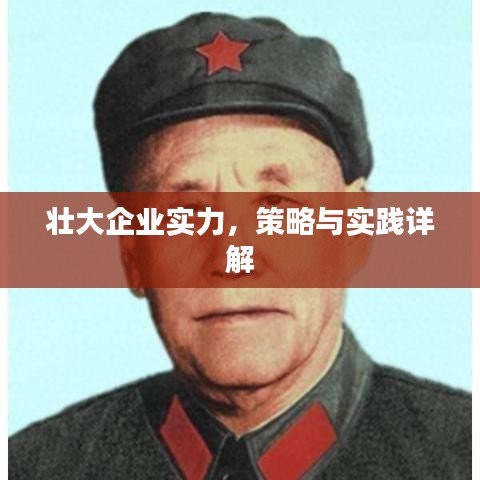 壮大企业实力，策略与实践详解